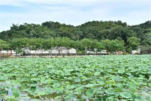 南方农村报 李嘉镓 制图