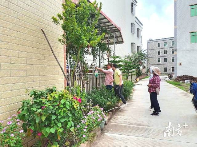 南方农村报 李嘉镓 制图