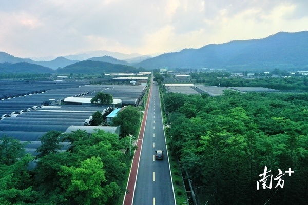 建设“四好农村路”,助力“百千万工程”。受访单位供图