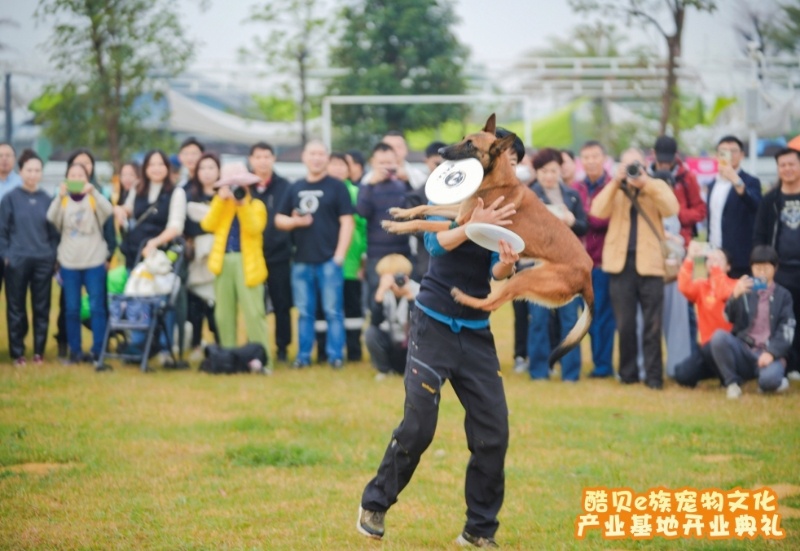 开幕式上将有萌宠花式表演。