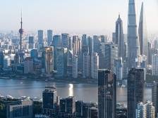 习言道｜习近平为何说要种苗圃，而不做盆景？