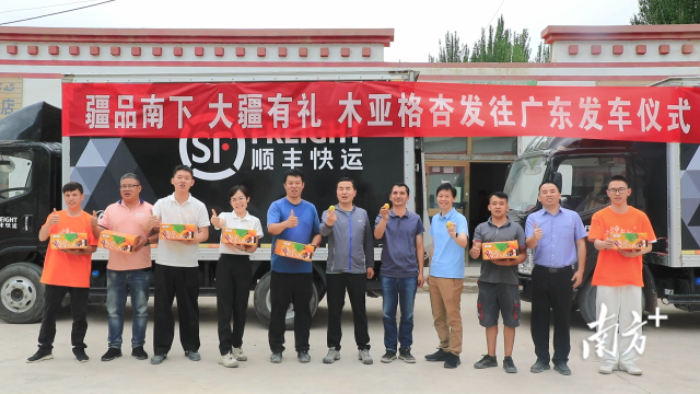 赛杏会当天，木亚格杏发车仪式同步举行，120吨鲜杏整装待发运往粤港澳大湾区。