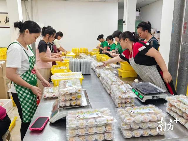 新疆西圣果业有限责任公司木亚格杏包装车间。