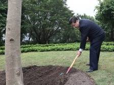 改革近镜头｜高山榕下，春天的故事谱新篇