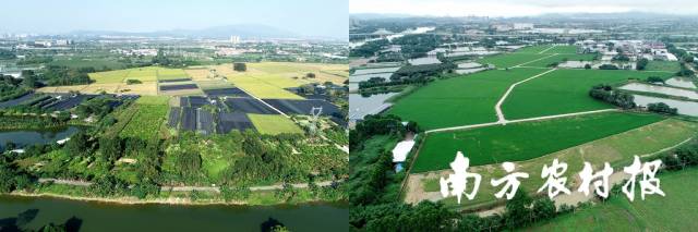 田橋村整治前、后,。