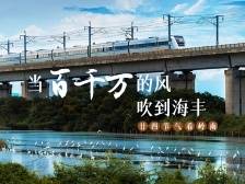 当“百千万”的风吹到海丰
