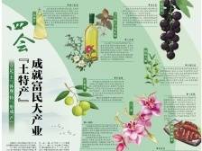 精美手绘！镇镇有优品，为四会“土特产”点赞