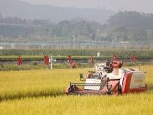 阔步迈向农业强国