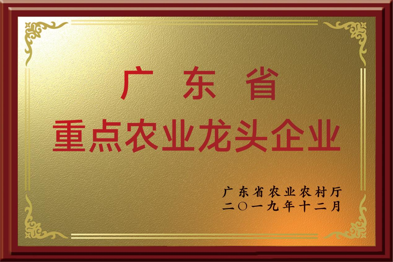 润康生态，2019年荣获“广东省重点农业龙头企业”