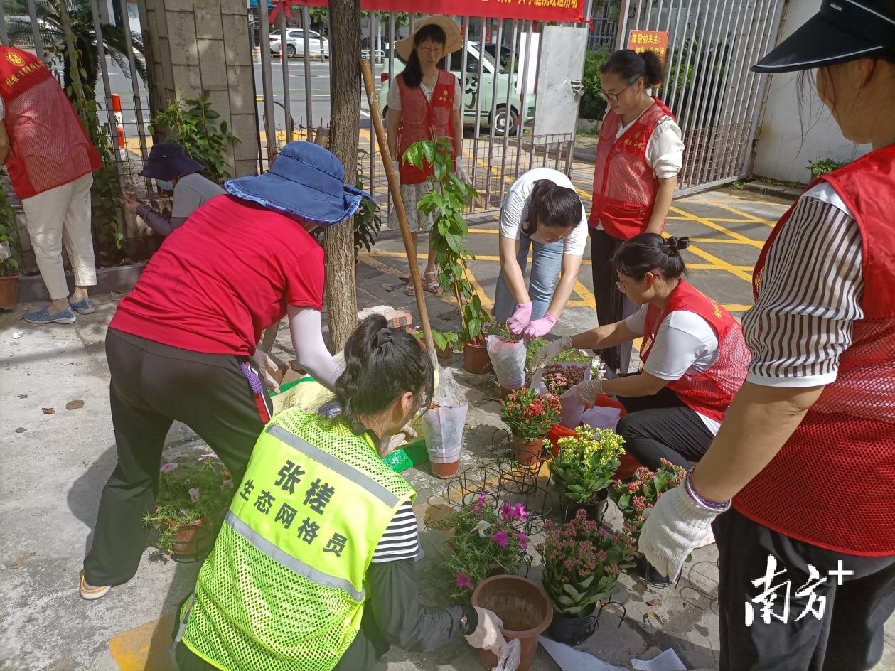 玉带社区开展“美丽庭院”建设。