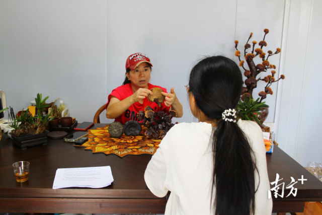 學(xué)生們與返鄉(xiāng)創(chuàng)業(yè)者對(duì)話采訪,。