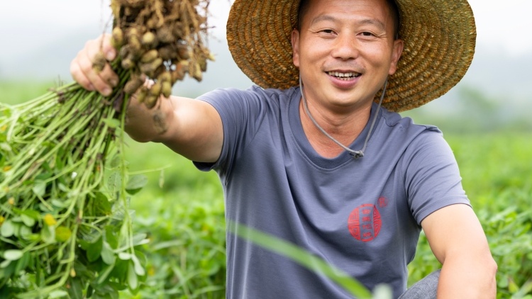 河源“村播”馬珍平：用直播在全網(wǎng)講述“佗城花生”好故事