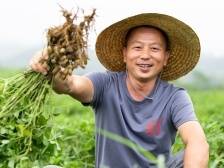 河源“村播”马珍平：用直播在全网讲述“佗城花生”好故事