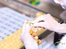 百人角逐“点睛王”！ 广东龙眼“点睛”大赛举办