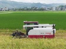 壮观！20多台无人农机轮番上阵，演示水稻耕种管收全流程