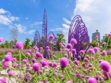 寻访“花地湾”