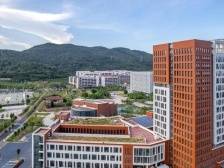 广外高考投档排位为什么跃升？