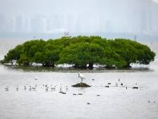 潭江水静静流淌