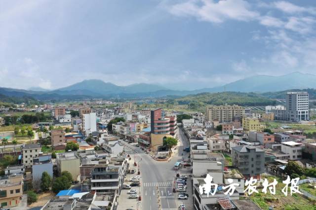 佛冈县水头镇党委！“百千万工程”工作表现突出集体