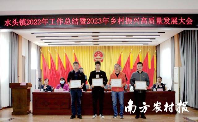 水头镇召开总结大会表扬乡村振兴工作先进基层党组织。 
