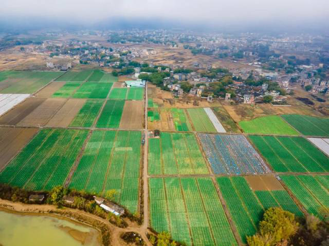 2023年我国国际收支保持基本平衡
