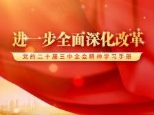 党的二十届三中全会精神学习手册