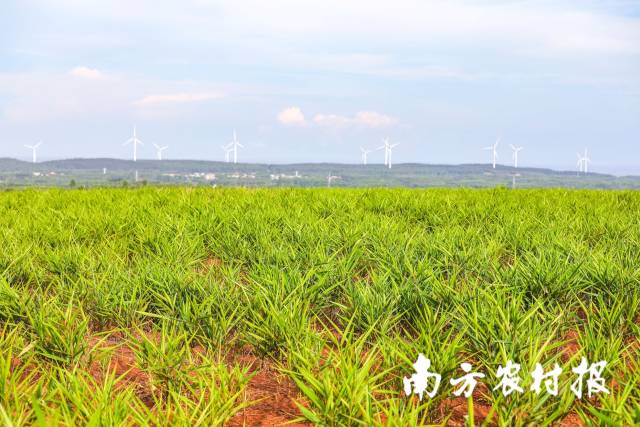 平安银行启动生前遗嘱 成首家出台危机预案银行