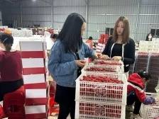 “荔枝妹妹”十一年水果品牌进阶记 | 新农人 兴农记⑧