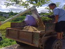 “百千万工程”科技特派员帮扶，兴宁大坪镇红米稻种植示范试验田喜获丰收