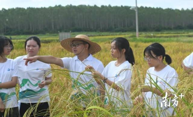 杨善老师在田间指导团队选种。