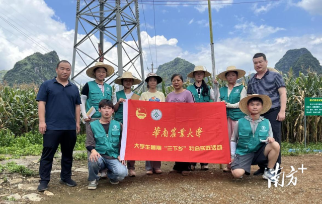 服务队与马山县羊山村玉米制种基地工作人员。