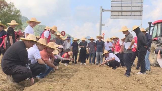 现场查看播种情况