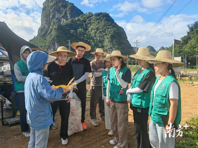 服务队在玉米基地学习玉米考种。