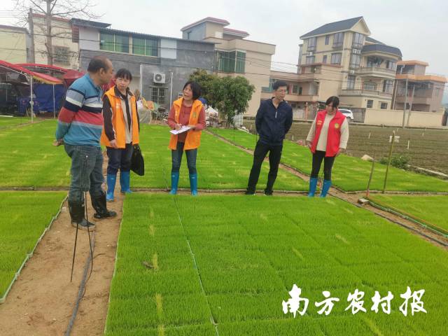 在复杂的医患关系中,年轻医生得到历练
