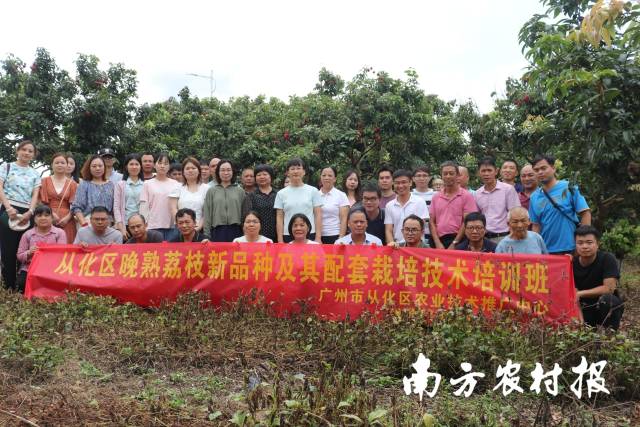 从化区晚熟荔枝新品种及其配套栽培技术培训班。 从化区晚熟荔枝新品种及其配套栽培技术培训班。