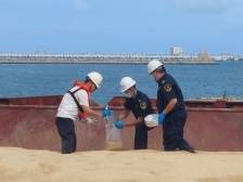 首次进口大麦到港！茂名广港码头两年进口量超百万吨