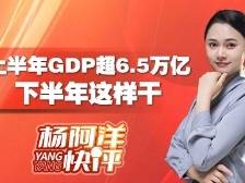 上半年GDP超6.5万亿，下半年这样干 | 杨阿洋快评
