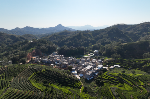 饶平建饶镇美丽乡村风貌。