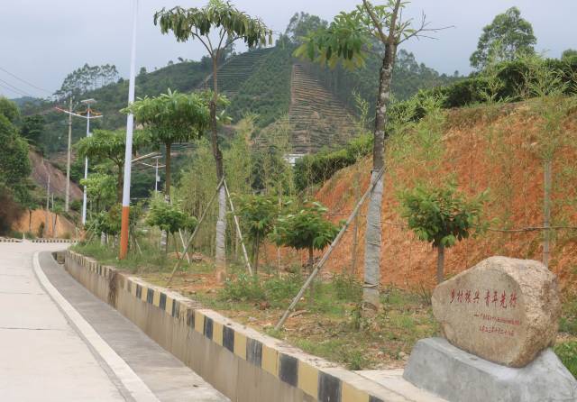 和里洞村“乡村振兴青年先行”竹道。