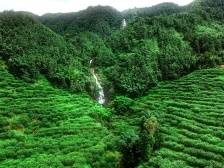 航拍茂名|瀑布藏乡野，幽谷隐飞泉