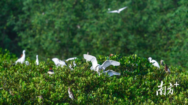 南方农村报 李嘉镓 制图