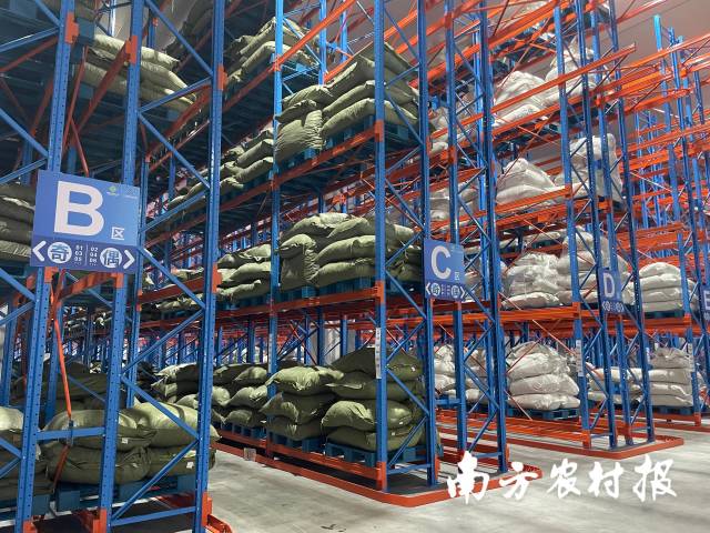 冷链物流产业园内一处物资储备间内景。