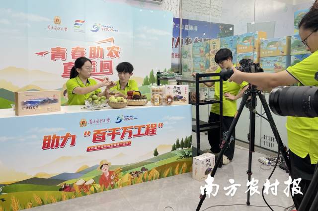 在周田电商小镇“青春助农直播间”直播的年轻人。  