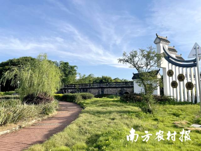 绿意盎然的周田村村口。