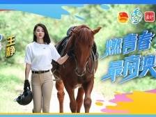 燃青春，最南澳④｜王静：从新疆到大鹏，在南澳打造“我的阿勒泰”