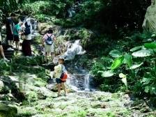 喜迎中秋，广州市公园景区将开展150余场精彩活动