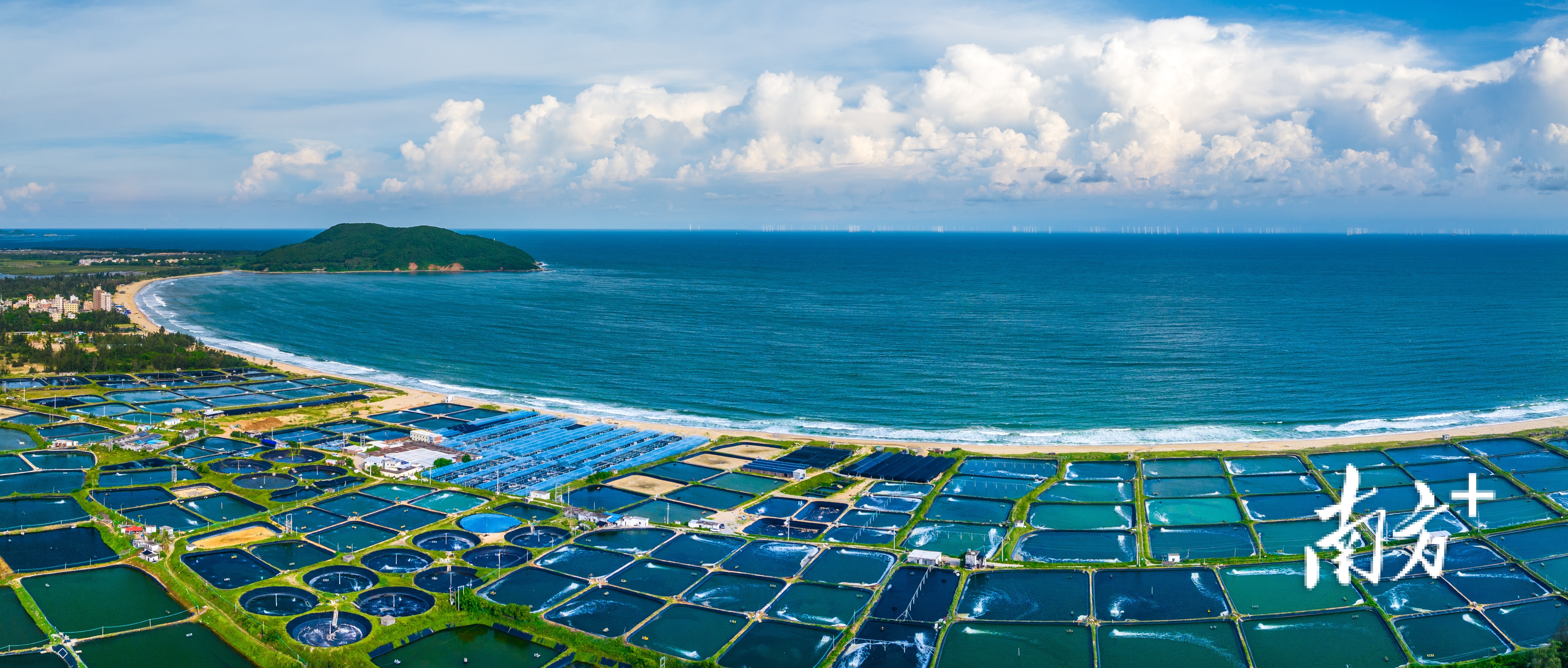 依托得天独厚的滨海资源优势,近年来阳西县正全力扶持发展海水种苗产业,目前已拥有全国县级最具规模的海水种苗生产基地。任浩沿 摄