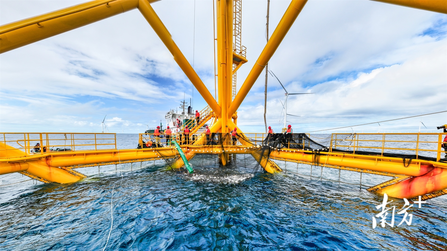 “明渔一号”再次成功投苗,正式开启第二季示范养殖。受访者供图 “明渔一号”再次成功投苗,正式开启第二季示范养殖。受访者供图