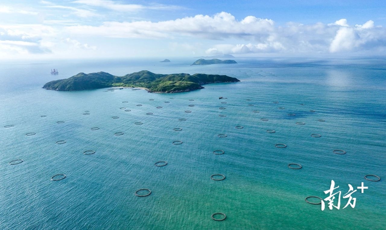 大镬岛深海网箱养殖基地。 梁文栋 摄