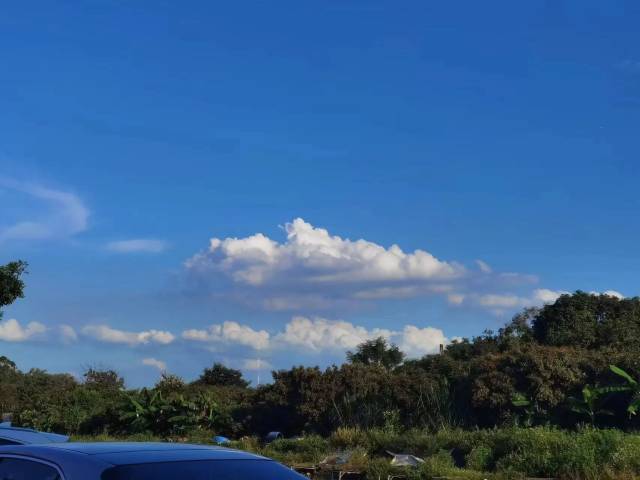 《乡下的天空》 林文莉，花都区社。